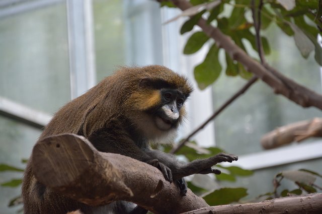 Ein Tag in der Zoom Erlebniswelt Gelsenkirchen.Foto:Kurt Gritzan