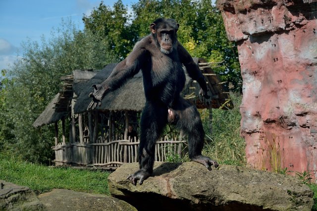 Ein Tag in der Zoom Erlebniswelt Gelsenkirchen.Foto:Kurt Gritzan