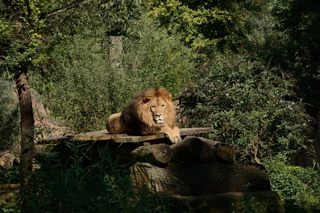 Ein Tag in der Zoom Erlebniswelt Gelsenkirchen.Foto:Kurt Gritzan