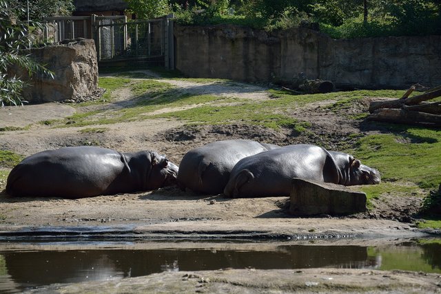 Ein Tag in der Zoom Erlebniswelt Gelsenkirchen.Foto:Kurt Gritzan