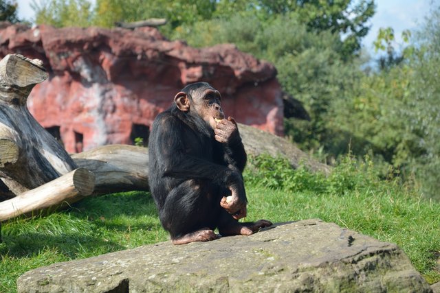 Ein Tag in der Zoom Erlebniswelt Gelsenkirchen.Foto:Kurt Gritzan