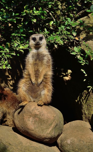 Ein Tag in der Zoom Erlebniswelt Gelsenkirchen.Foto:Kurt Gritzan