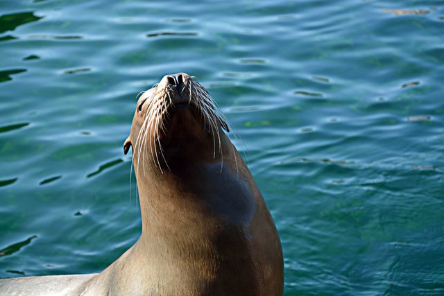 Ein Tag in der Zoom Erlebniswelt Gelsenkirchen.Foto:Kurt Gritzan
