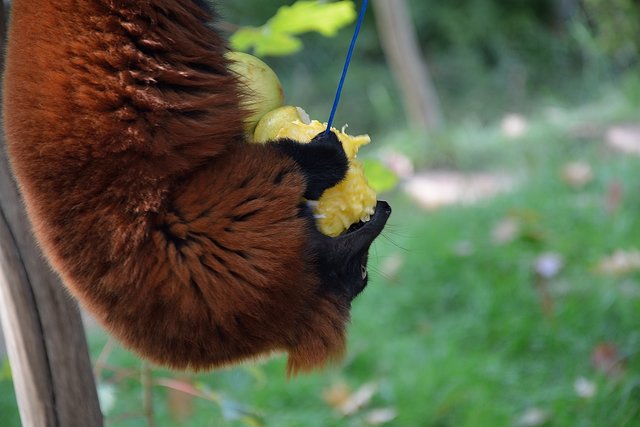 Ein Tag in der Zoom Erlebniswelt Gelsenkirchen.Foto:Kurt Gritzan