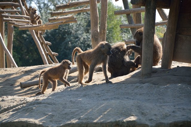 Ein Tag in der Zoom Erlebniswelt Gelsenkirchen.Foto:Kurt Gritzan