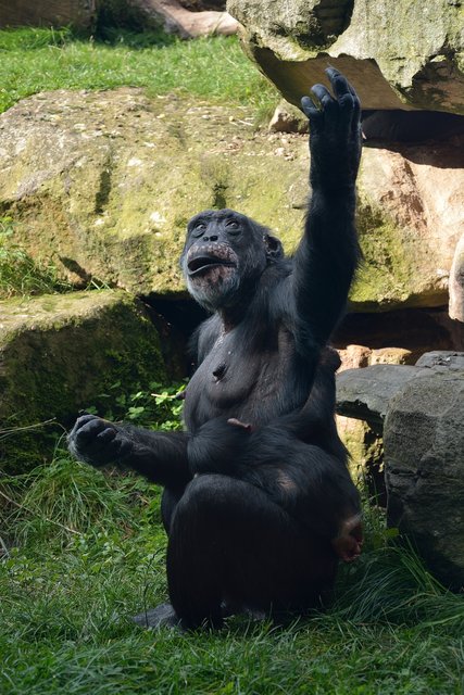 Ein Tag in der Zoom Erlebniswelt Gelsenkirchen.Foto:Kurt Gritzan