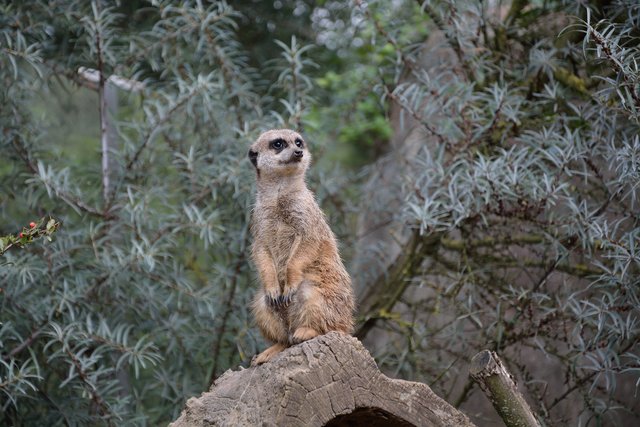 Ein Tag in der Zoom Erlebniswelt Gelsenkirchen.Foto:Kurt Gritzan