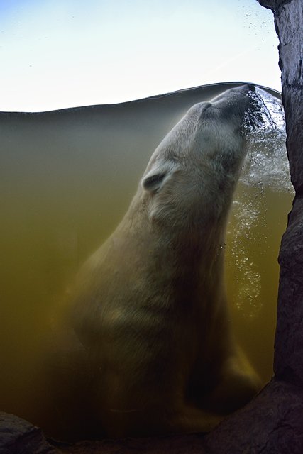 Ein Tag in der Zoom Erlebniswelt Gelsenkirchen.Foto:Kurt Gritzan