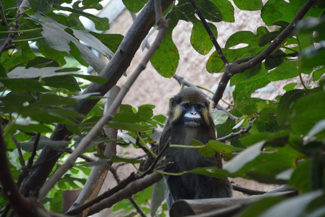Ein Tag in der Zoom Erlebniswelt Gelsenkirchen.Foto:Kurt Gritzan