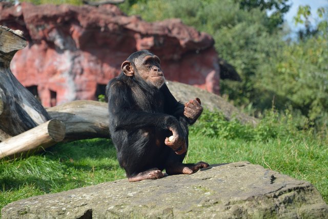 Ein Tag in der Zoom Erlebniswelt Gelsenkirchen.Foto:Kurt Gritzan
