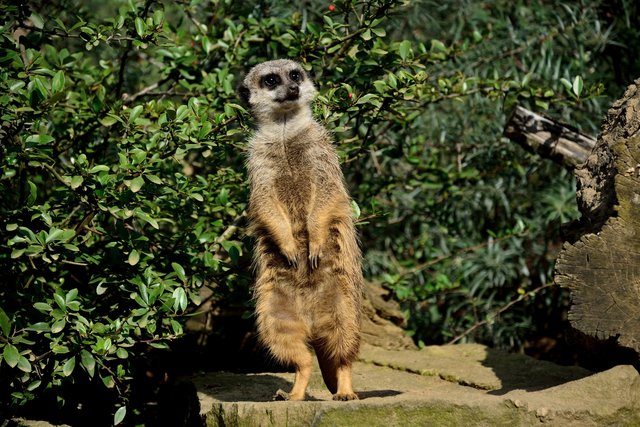 Ein Tag in der Zoom Erlebniswelt Gelsenkirchen.Foto:Kurt Gritzan