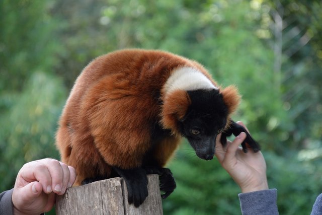 Ein Tag in der Zoom Erlebniswelt Gelsenkirchen.Foto:Kurt Gritzan