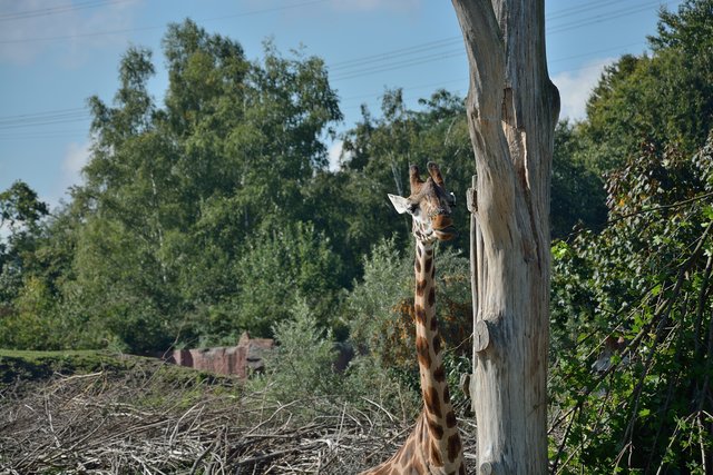 Ein Tag in der Zoom Erlebniswelt Gelsenkirchen.Foto:Kurt Gritzan