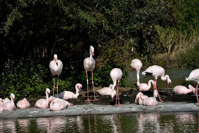 Ein Tag in der Zoom Erlebniswelt Gelsenkirchen.Foto:Kurt Gritzan