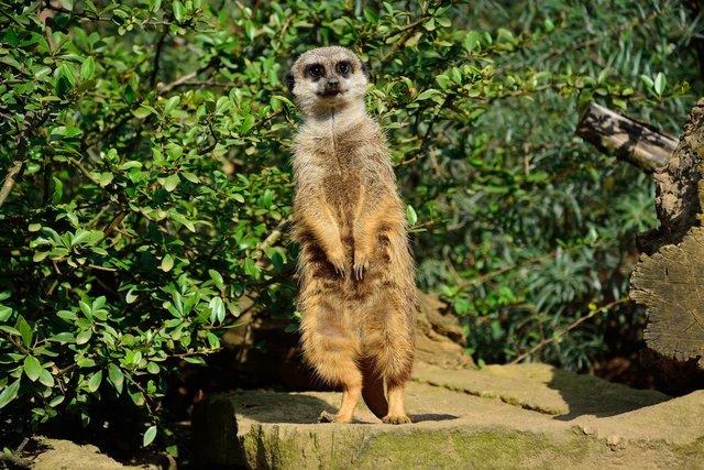 Ein Tag in der Zoom Erlebniswelt Gelsenkirchen.Foto:Kurt Gritzan