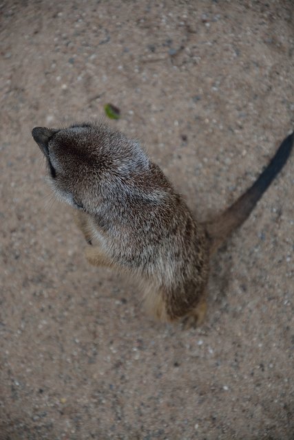 Ein Tag in der Zoom Erlebniswelt Gelsenkirchen.Foto:Kurt Gritzan