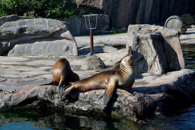 Ein Tag in der Zoom Erlebniswelt Gelsenkirchen.Foto:Kurt Gritzan