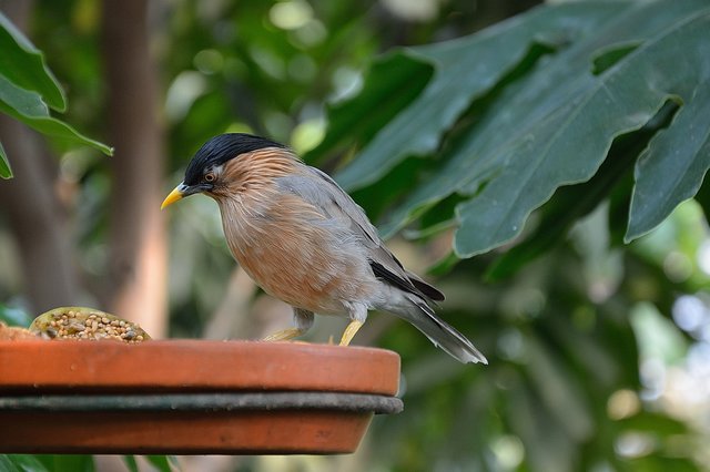 Ein Tag in der Zoom Erlebniswelt Gelsenkirchen.Foto:Kurt Gritzan