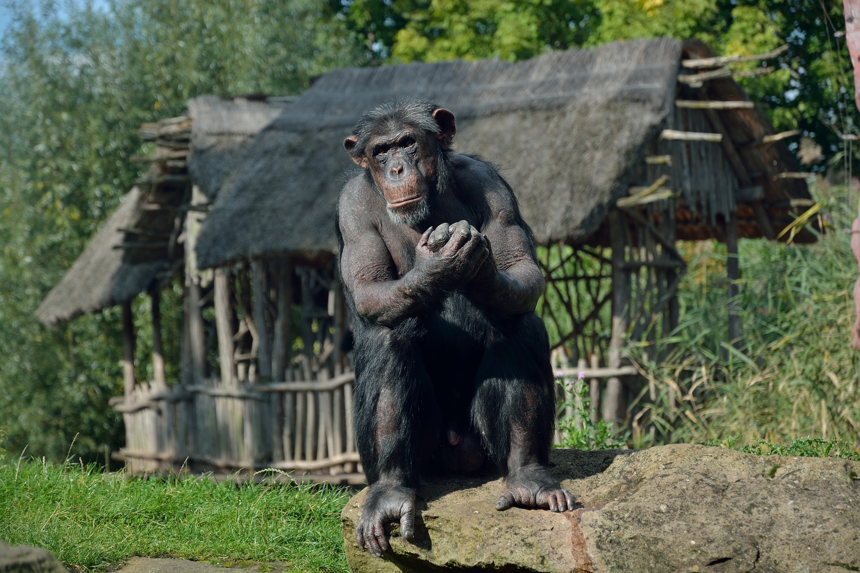 Ein Tag in der Zoom Erlebniswelt Gelsenkirchen.Foto:Kurt Gritzan