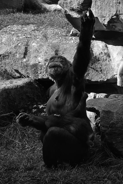 Ein Tag in der Zoom Erlebniswelt Gelsenkirchen.Foto:Kurt Gritzan