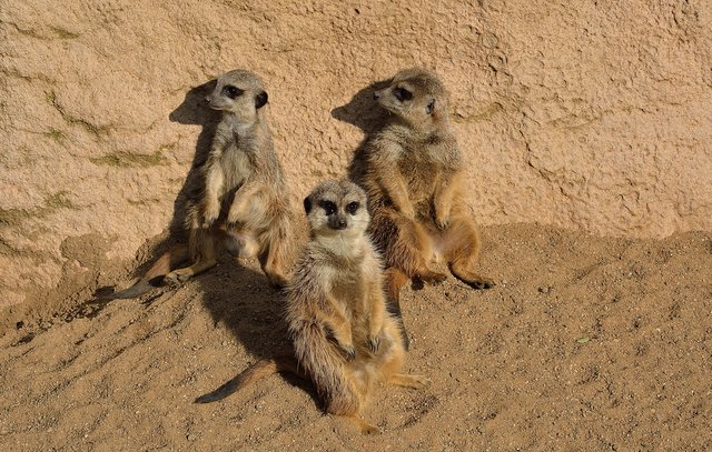 Ein Tag in der Zoom Erlebniswelt Gelsenkirchen.Foto:Kurt Gritzan
