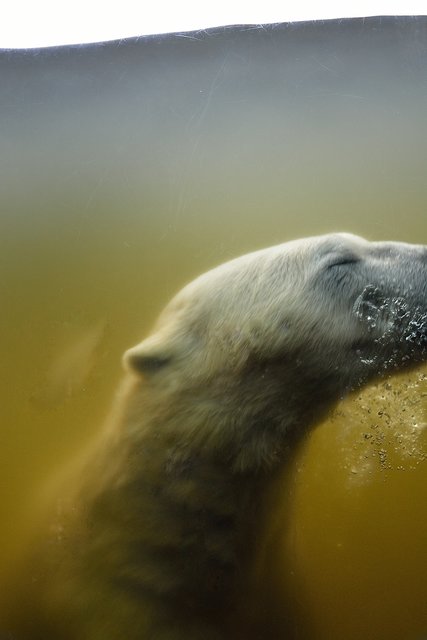 Ein Tag in der Zoom Erlebniswelt Gelsenkirchen.Foto:Kurt Gritzan