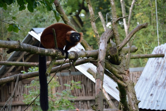 Ein Tag in der Zoom Erlebniswelt Gelsenkirchen.Foto:Kurt Gritzan