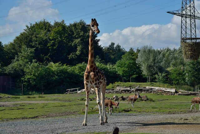 Ein Tag in der Zoom Erlebniswelt Gelsenkirchen.Foto:Kurt Gritzan