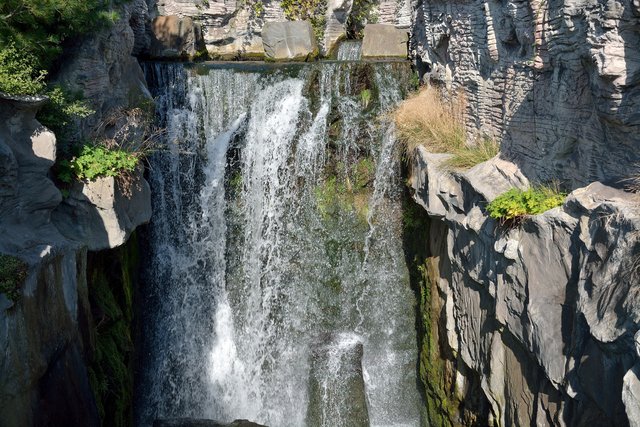 Ein Tag in der Zoom Erlebniswelt Gelsenkirchen.Foto:Kurt Gritzan