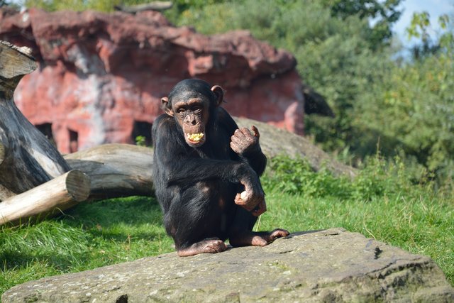 Ein Tag in der Zoom Erlebniswelt Gelsenkirchen.Foto:Kurt Gritzan