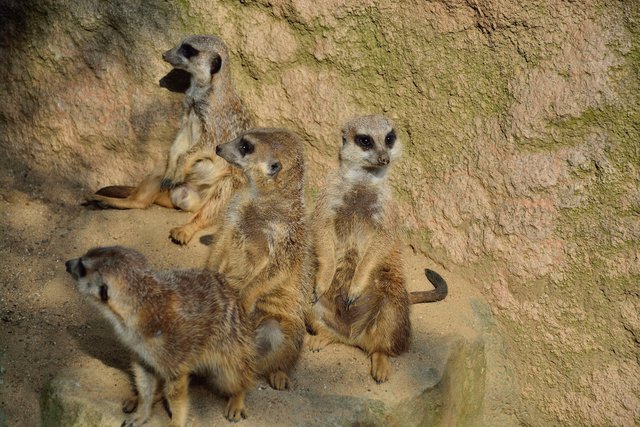 Ein Tag in der Zoom Erlebniswelt Gelsenkirchen.Foto:Kurt Gritzan