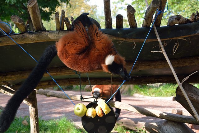 Ein Tag in der Zoom Erlebniswelt Gelsenkirchen.Foto:Kurt Gritzan