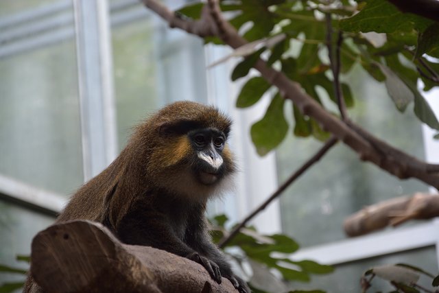 Ein Tag in der Zoom Erlebniswelt Gelsenkirchen.Foto:Kurt Gritzan