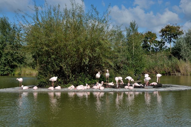 Ein Tag in der Zoom Erlebniswelt Gelsenkirchen.Foto:Kurt Gritzan