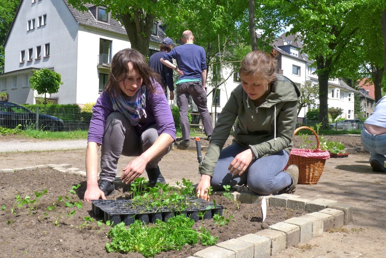 Gärtnern im Haumanngarten, Foto: Michael Maas