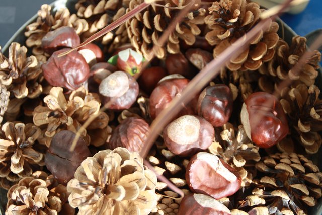 ja, der Herbst ist da, aber deshalb keine trübe Stimmung aufkommen lassen ;-))
