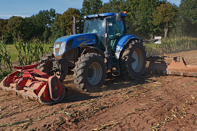 Mais Stoppeln werden rasiert ...........