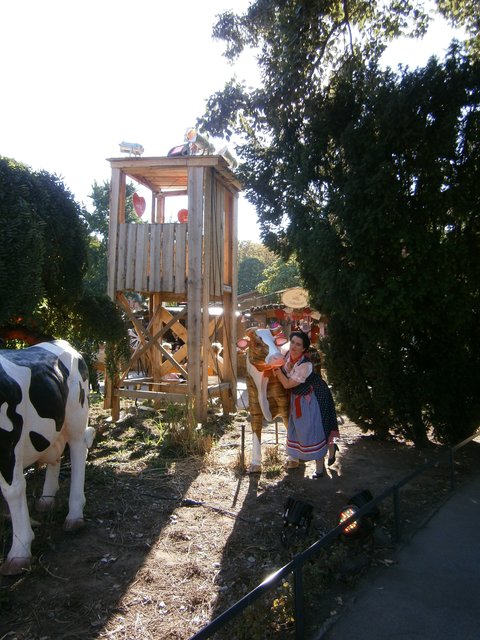 Auf der Wiener Wies'n geht's rund - nicht schwarz-weiß, sondern auch farbig und bunt (wie die bunte Kuh auf dem Wies'n-Gelände, die hier gerade Sylvias Streicheleinheiten genießt)!