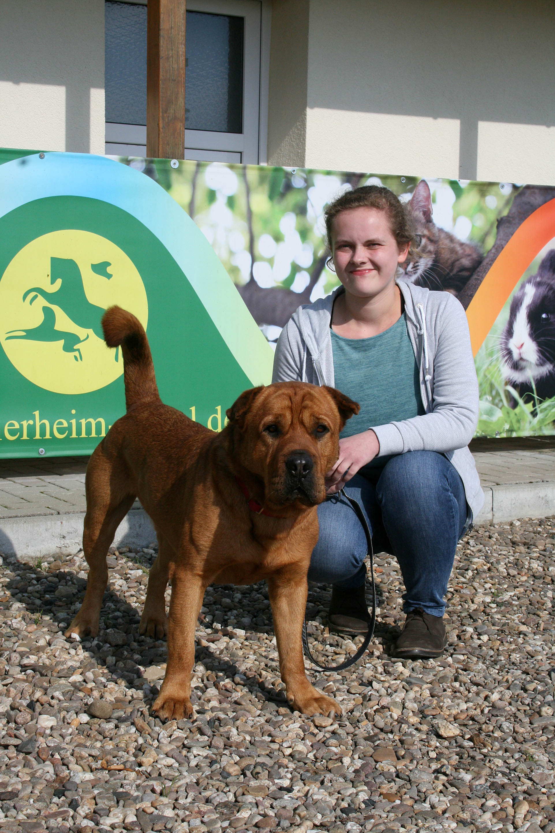 Die Auszubildende des Tierheims kommt mit Titus gut aus.