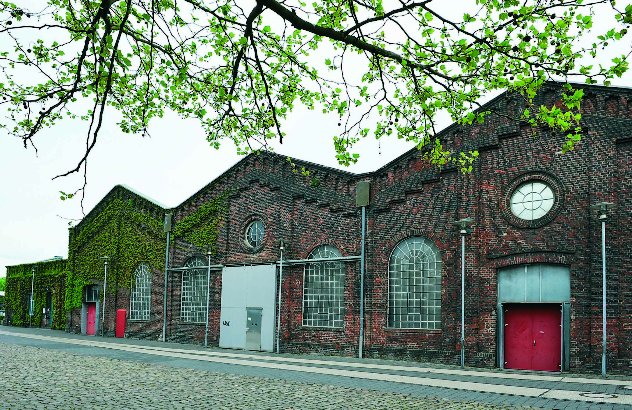 Foto: Peter Hadasch