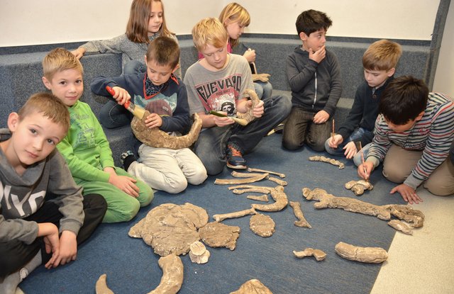 In der OGS legten die Kinder ihre Funde fein säuberlich zusammen und so „erwachte der Mammut zum Leben“.