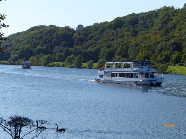 FOTO: RAINER BRESSLEIN