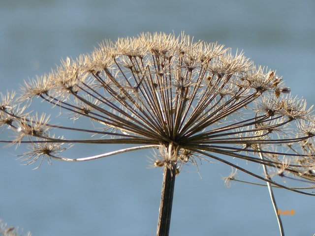 FOTO: RAINER BRESSLEIN