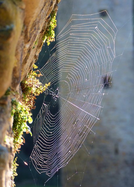 FOTO: RAINER BRESSLEIN