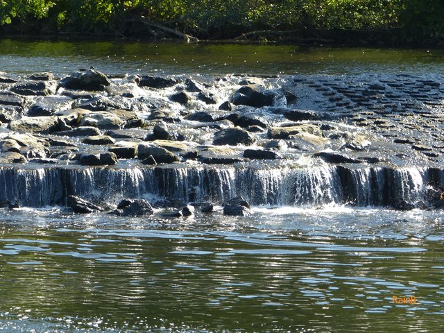 FOTO: RAINER BRESSLEIN