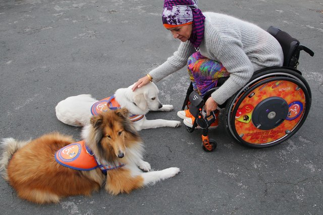 Streicheleinheiten gibt's in der Trainingspause. | Foto: Magalski