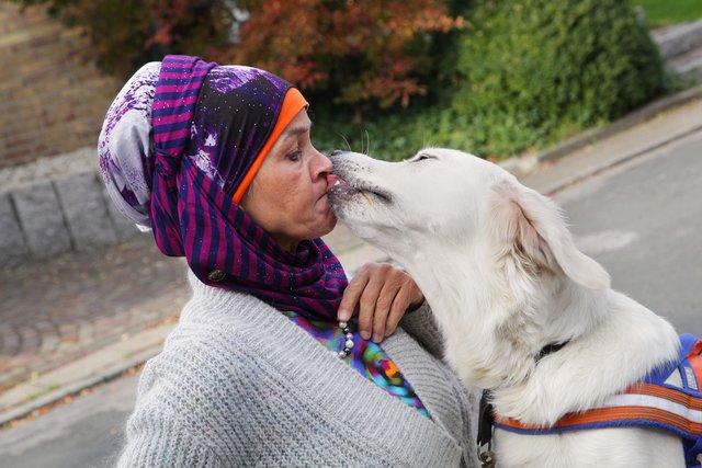 Filiz Erfurt trainiert mit Marly das sanfte Annehmen von Gegenständen. | Foto: Magalski
