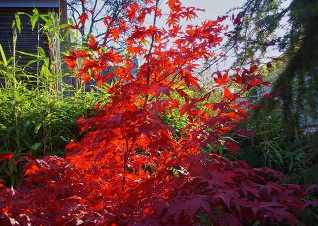 FOTO: RAINER BRESSLEIN
