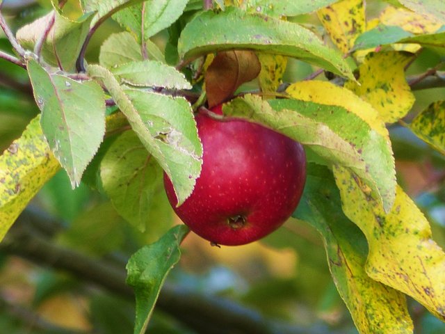 FOTO: RAINER BRESSLEIN