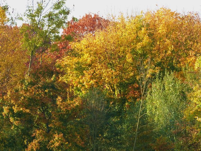 FOTO: RAINER BRESSLEIN